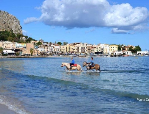 Horseback riding in Sicily