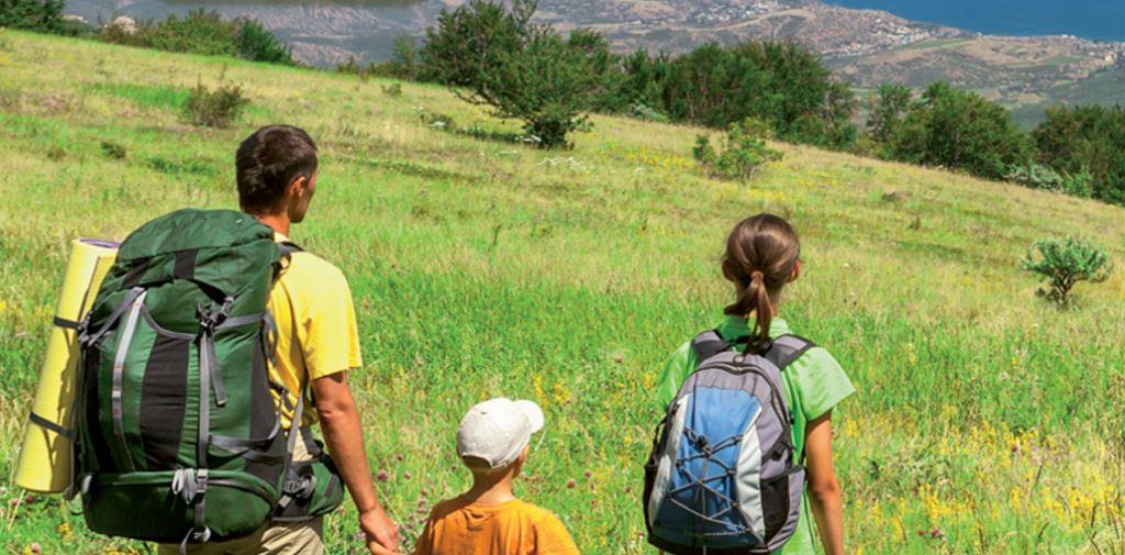 jamis renegade fenders