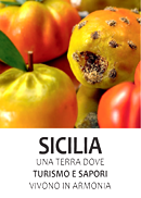 sapori immagine brochure italiano