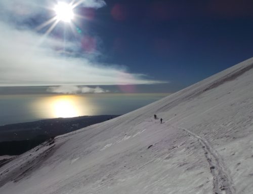 Ski touring