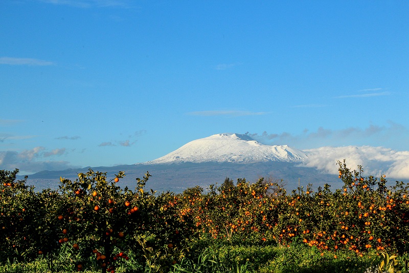 Come Si è Formata La Piana Di Catania