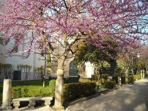 Giardini Iblei (ph.Turi Sicilia)