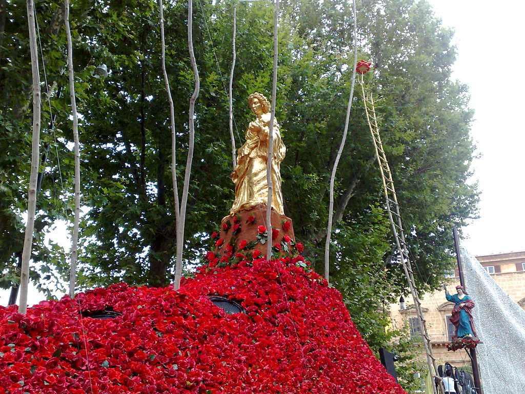 Santa Rosalia rose