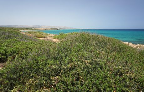 Spiaggia naturistica di marianelli - JM