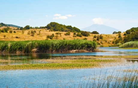 Nebrodi - ph. Gandolfo Cannatella