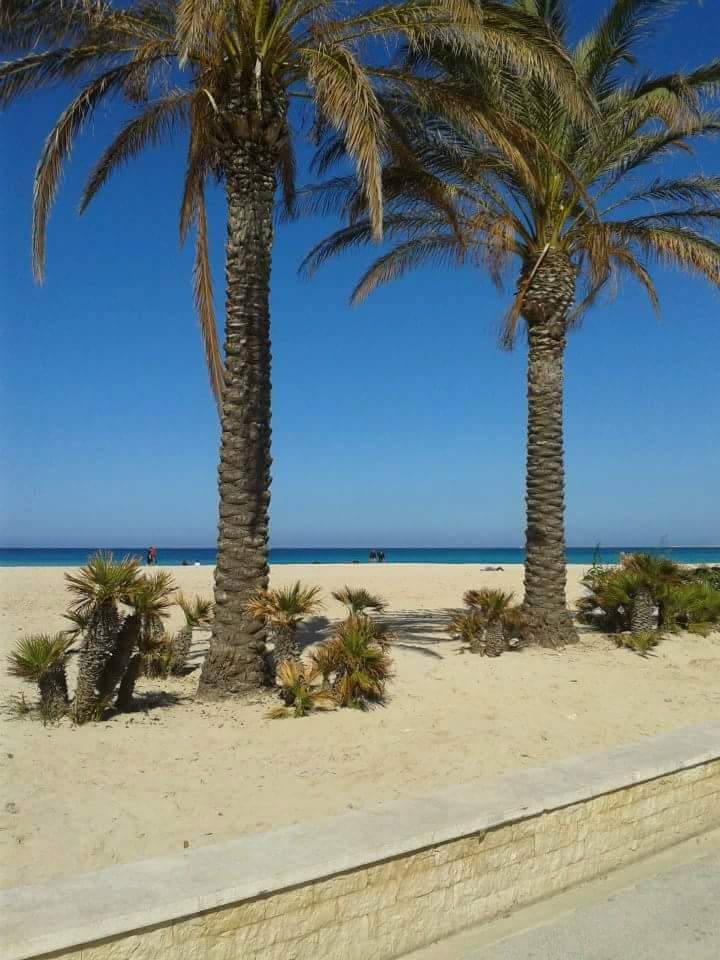 Spiaggia di San Vito lo Capo - ph. RobIanni