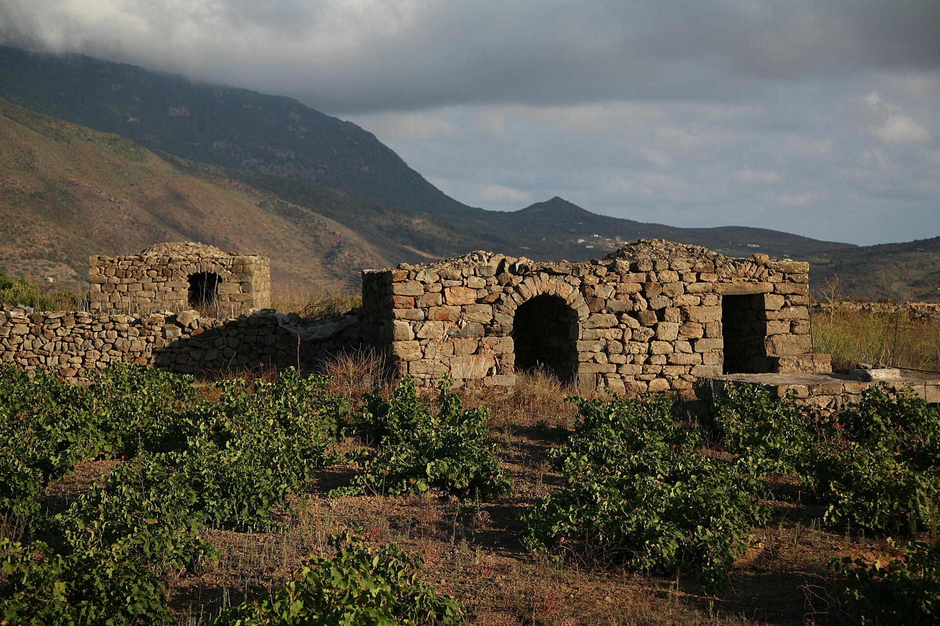 Pantelleria-dammusi