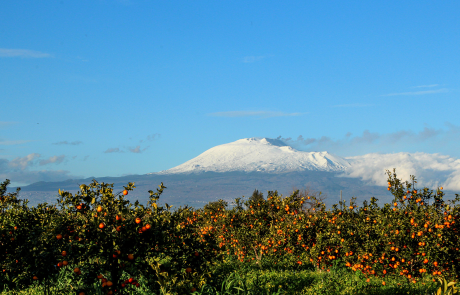Etna - credits: Archivio Regione Siciliana P.Barone