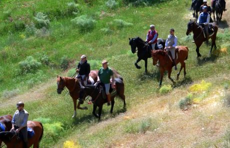 Ippovia @Archivio Regione Siciliana - Paolo Barone