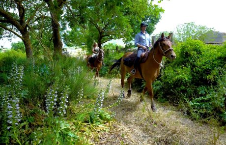 Ippovie @Archivio Regione Siciliana - Paolo Barone