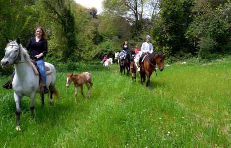 Ippovie @Archivio Regione Siciliana _ Paolo Barone