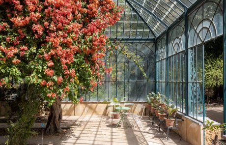 Palermo_Orto_Botanico_© Benedetto Tarantino