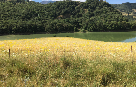Bisacquino - credits: Archivio Regione Siciliana Gioacchino Martorana