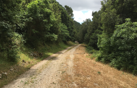 Bivona - credits: Archivio Regione Siciliana Gioacchino Martorana