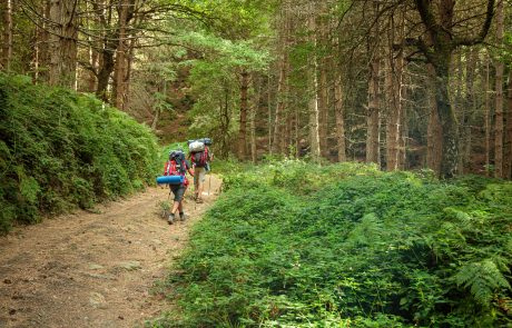 Trekking nel Parco dei Nebrodi