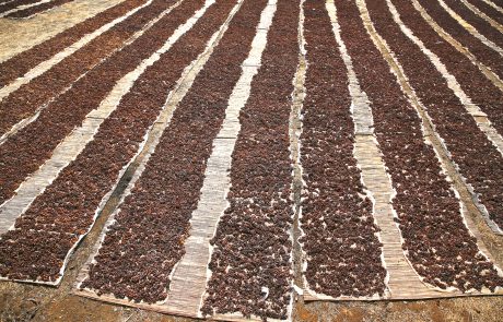 Passito di Pantelleria - Archivio Regione Siciliana ph P.Barone