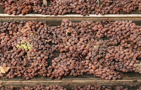 Passito di Pantelleria - Archivio Regione Siciliana ph P.Barone