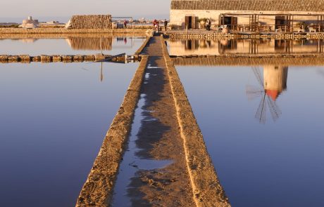 Saline Paceco - F.Sessa