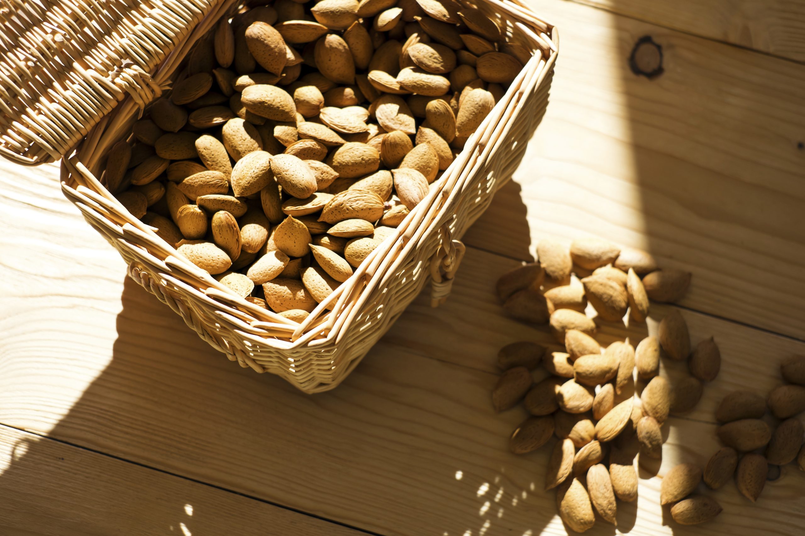 Mandorle - Archivio regione Siciliana B.Tarantino