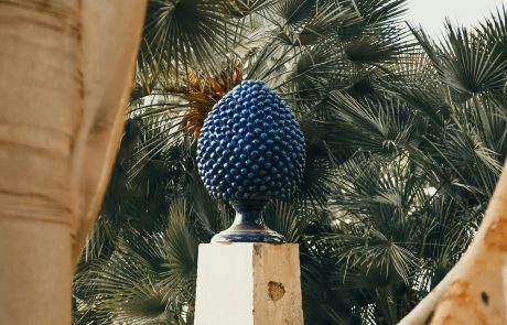 Pigna - ph. Shana Van Roosbroek unsplash