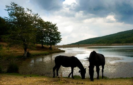 Cesarò Parco Naturale Neboridi - Arch Regione Sicilliana JM