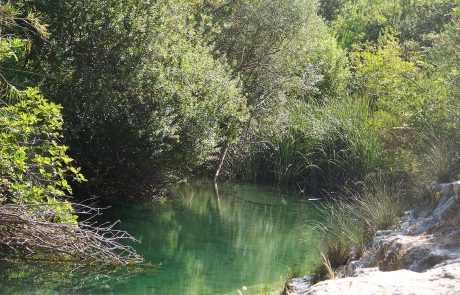 Cavagrande del Cassibile - Archivio Regione Siciliana JM