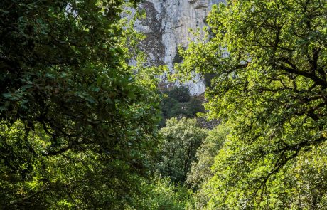 Bosco della Ficuzza - Escursionismo - © Roberto Siragusa