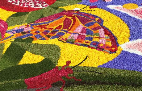 Infiorata di Noto - Archivio Regione Siciliana_JM
